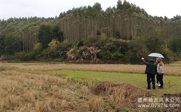 乌兰察布市陈老师带着爱徒寻龙点穴